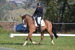 14712761_10154732283674040_177343335438693271_o